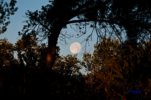 "Early Morning Moon @ Lake Side" Lake County, CA
