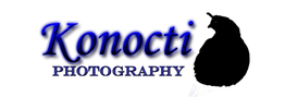 Konocti Photography